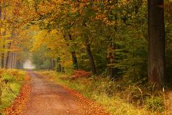 Droga Raczokowa fot. T. Sczansny