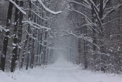 Droga Zwonowska fot. T. Sczansny