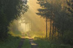 Leśnictwo Solarnia  fot. T. Sczansny